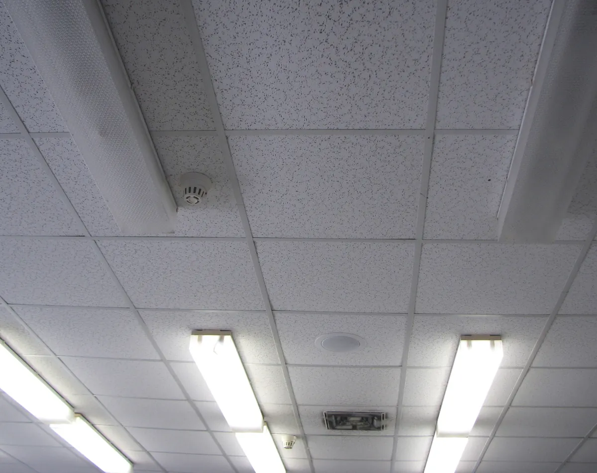 Suspended ceiling of white fissured lay-in tiles in a metal grid with fluorescent light fittings
