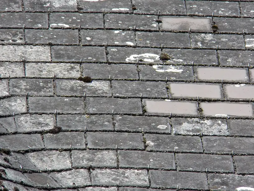 Weathered grey asbestos-cement roof slates with lichen, held by metal hooks, on a roof in Zegge, Netherlands.