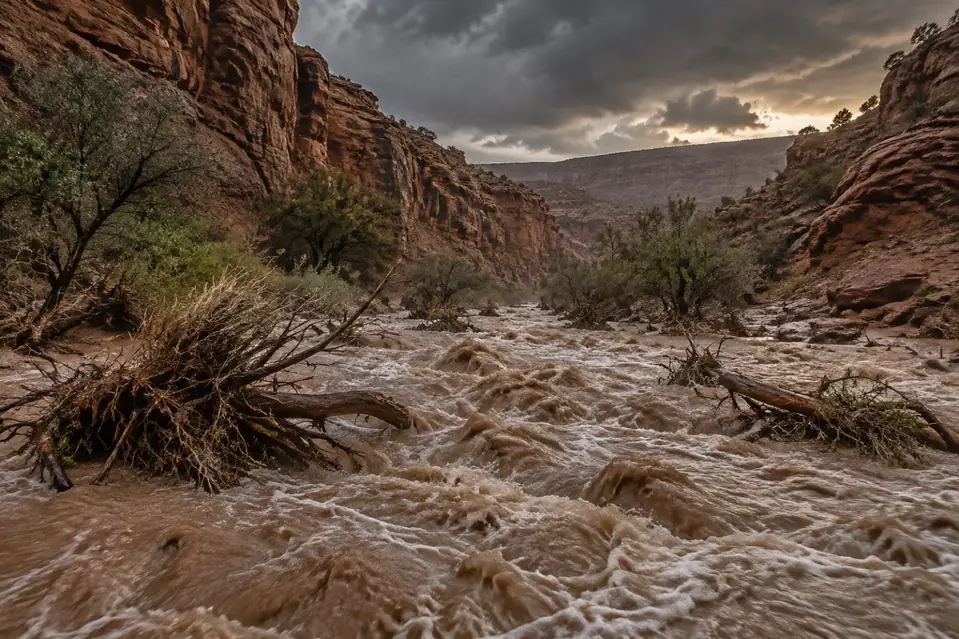 Illustration: a flash flood filling a dry desert wash with muddy water and debris