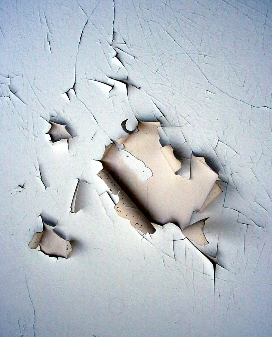 Close view of white wall paint cracking into curled flakes that lift away to show a cream layer underneath