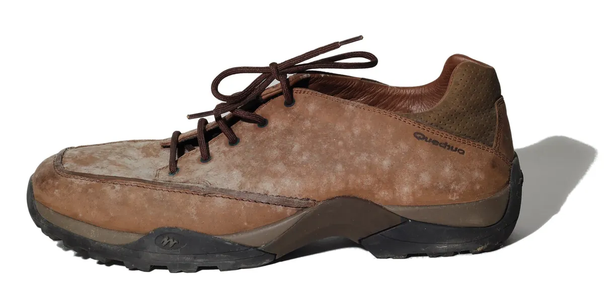 A brown leather lace-up shoe covered in pale, spotty white growth across the toe and sides