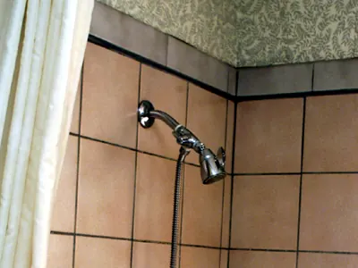 Shower wall tile with darkened grout joints along the top course and corner, from the EPA mold course