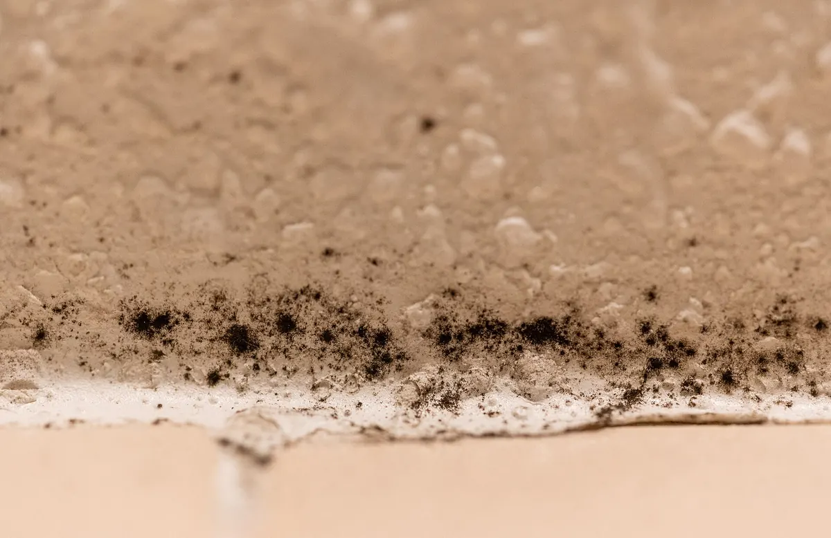 Dark mold spots on a textured painted ceiling just above the top edge of a shower's tile
