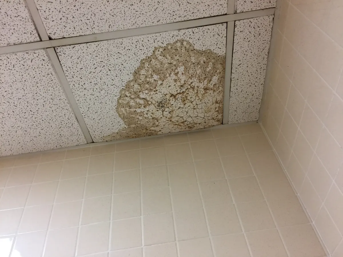 A ceiling panel above a tiled wall with a large brown stain outlined by darker rings, with a few dark spots inside it