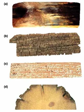 Four wood samples stacked vertically: a board with dark surface mold streaks, a dark brown block broken into small cubes, a pale board with white bleached flecks, and the cut end of a pole with a soft outer band