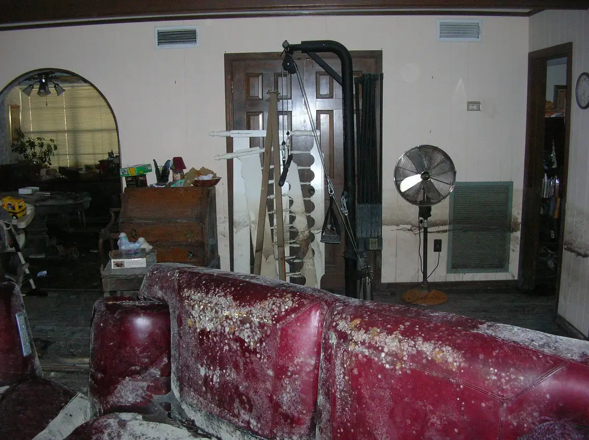 A red leather sofa covered in white and tan mold spots in a flooded New Orleans living room, with a brown flood line on the wall behind and a wooden secretary desk