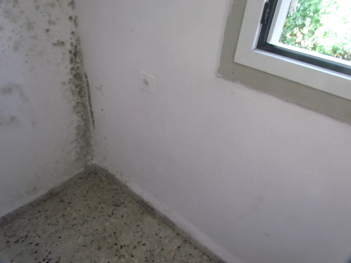 Mold concentrated in the inside corner of a room at floor level, beside a window, with a clean adjoining wall