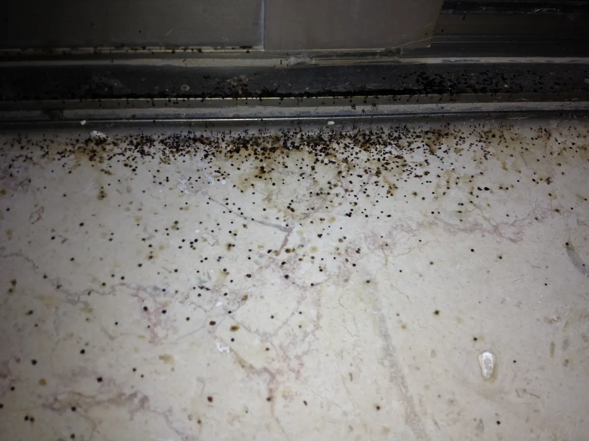 Dense black and brown spots on a pale stone window sill, heaviest right under a metal sliding window track