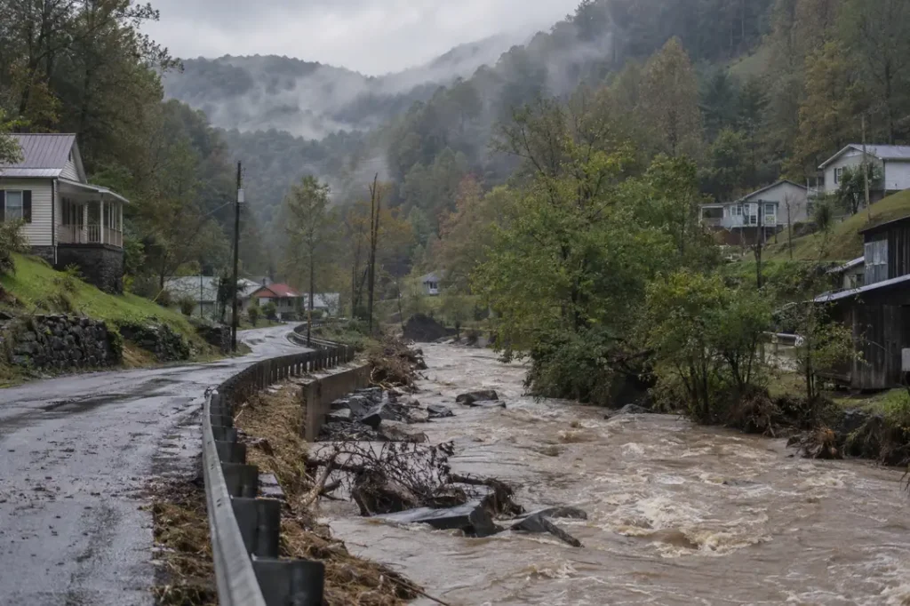 Illustration: a creek running high through a narrow mountain hollow.