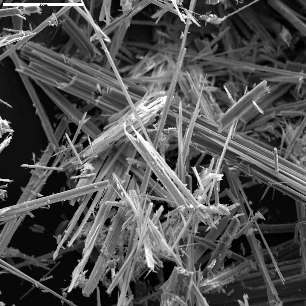 Scanning electron microscope image of straight, needle-like anthophyllite asbestos fibres and bundles with a 50 micrometre scale bar