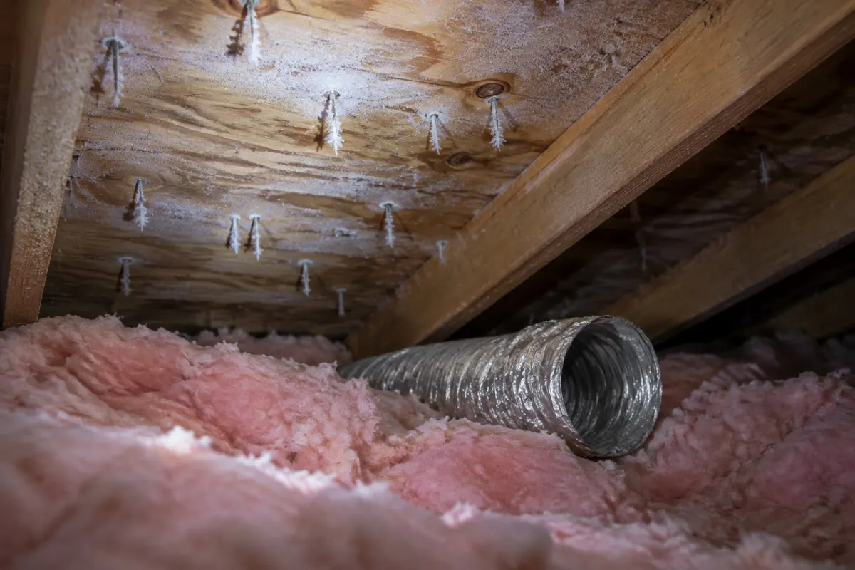 Illustration: frost on attic sheathing around nail tips and a disconnected bathroom fan duct