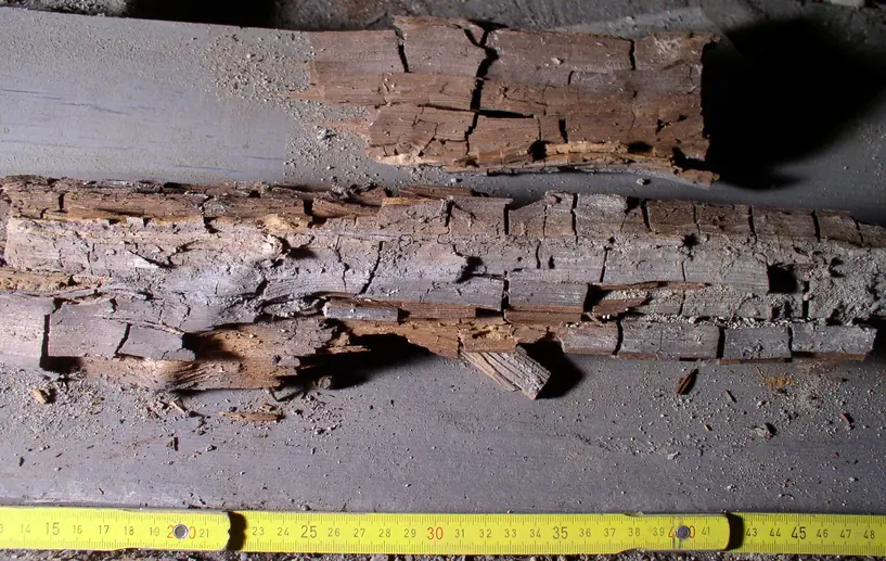 Two lengths of timber decayed by Serpula lacrymans, cracked across and along the grain into brown cubes, beside a tape measure